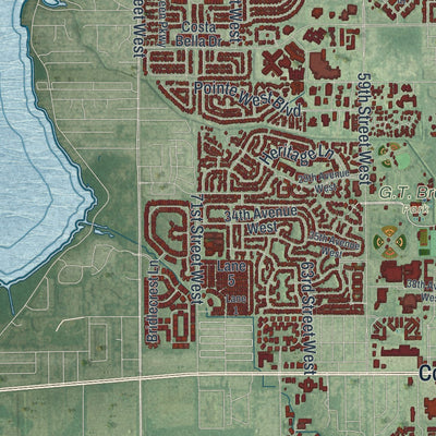 Close-up 2 of the Bradenton, Florida map artwork