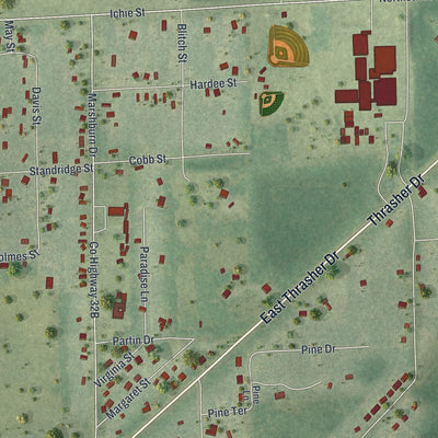 Close-up 2 of the Bronson, Florida map artwork