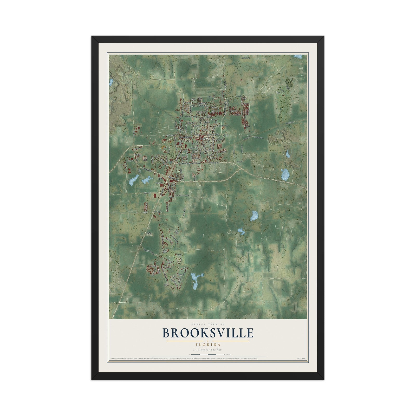 Brooksville, Florida map print, 12" x 18" W/ Black Ayous Wood Frame mockup