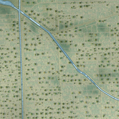 Close-up of the map of Buckingham, Florida print showing street and building detail