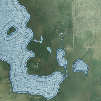 Close-up 2 of the Bunnell, Florida map artwork