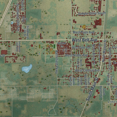 Close-up 1 of the Bushnell, Florida map artwork