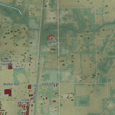 Close-up 2 of the Bushnell, Florida map artwork