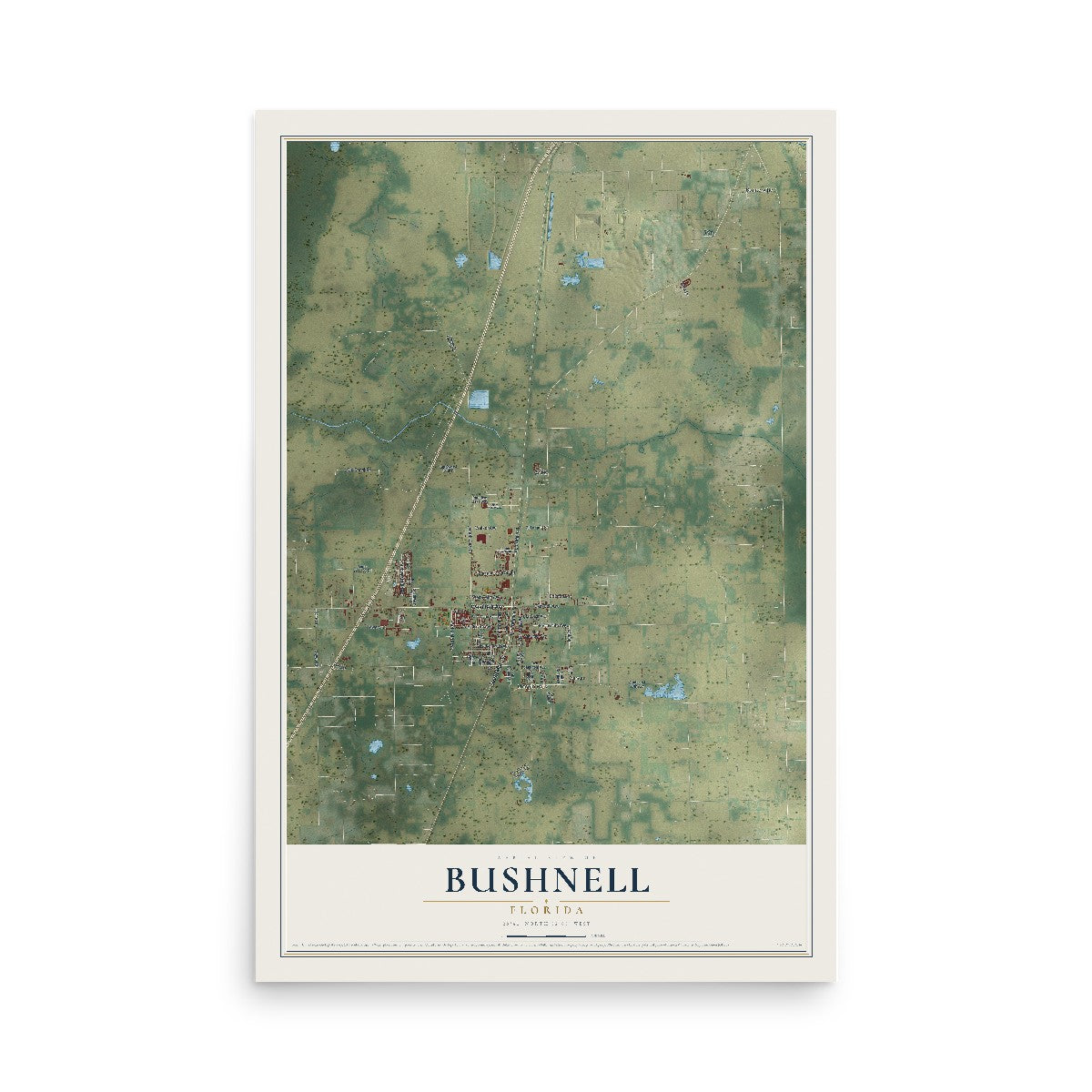 Bushnell, Florida map print, 12" x 18" Archival Matte Print mockup