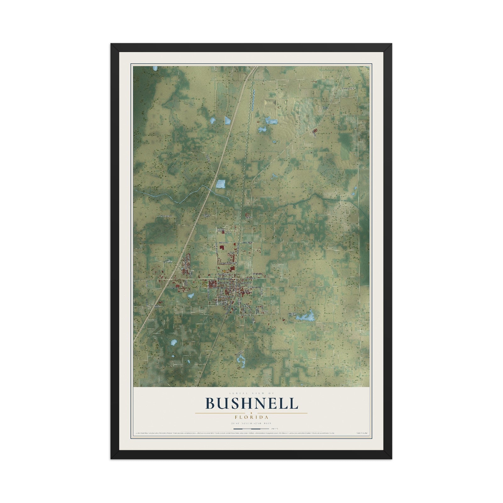 Bushnell, Florida map print, 12" x 18" W/ Black Ayous Wood Frame mockup