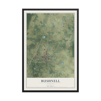 Bushnell, Florida map print, 12" x 18" W/ Black Ayous Wood Frame mockup