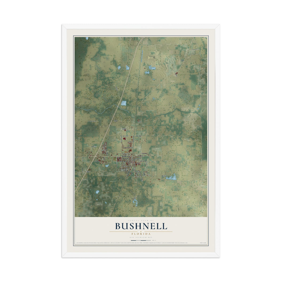 Bushnell, Florida map print, 12" x 18" W/ White Ayous Wood Frame mockup