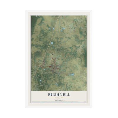 Bushnell, Florida map print, 12" x 18" W/ White Ayous Wood Frame mockup