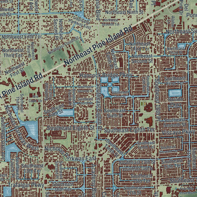 Close-up 1 of the Cape Coral, Florida map artwork