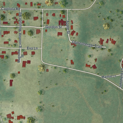 Close-up of the map of Capitola, Florida print showing street and building detail