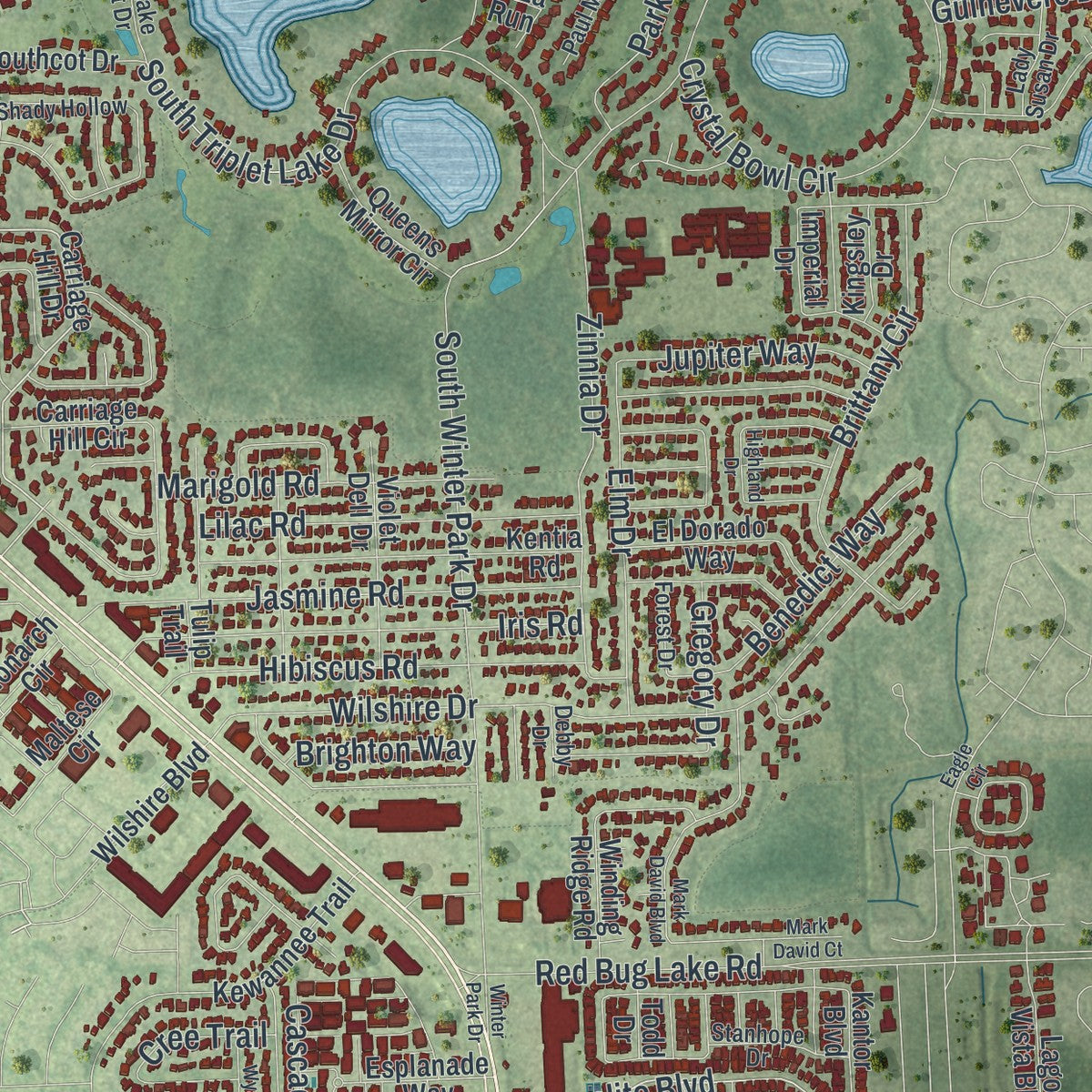 Close-up 1 of the Casselberry, Florida map artwork