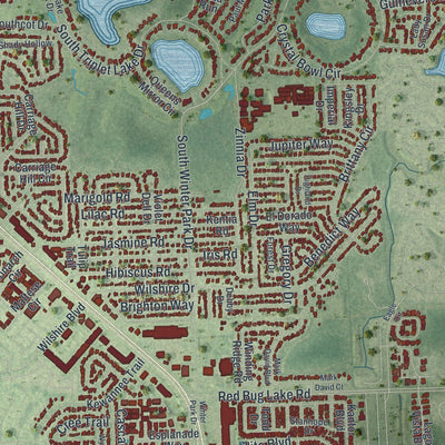 Close-up 1 of the Casselberry, Florida map artwork