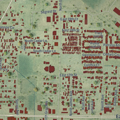 Close-up of the map of Cedar Grove, Florida print showing street and building detail