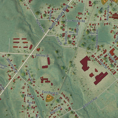 Close-up 1 of the Century, Florida map artwork