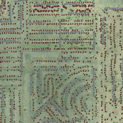Close-up of the map of Citrus Hills, Florida print showing street and building detail