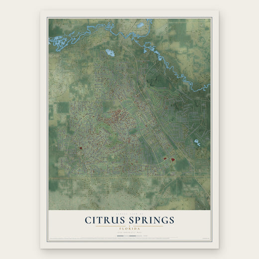 Citrus Springs, Florida map print, the full design