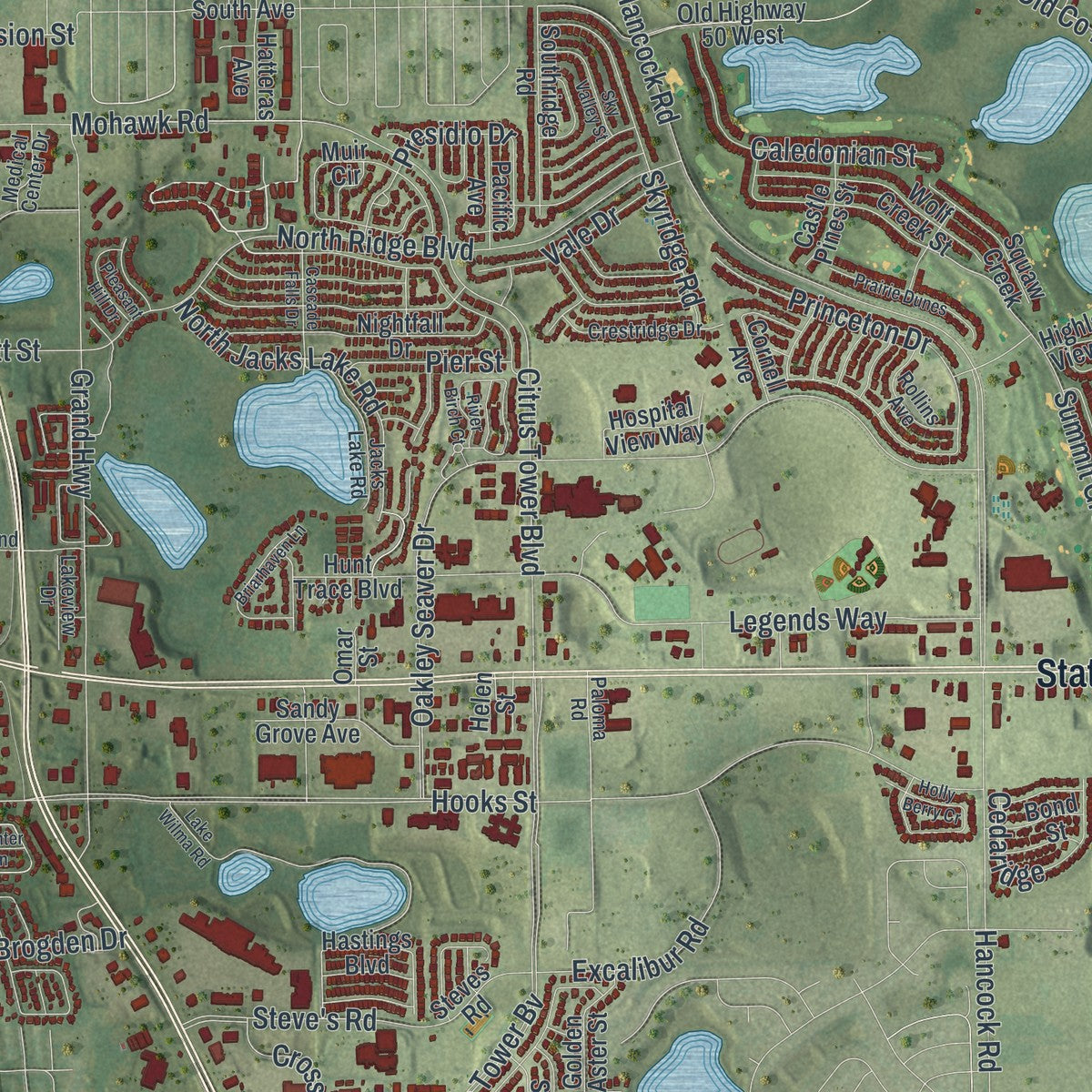 Close-up 1 of the Clermont, Florida map artwork
