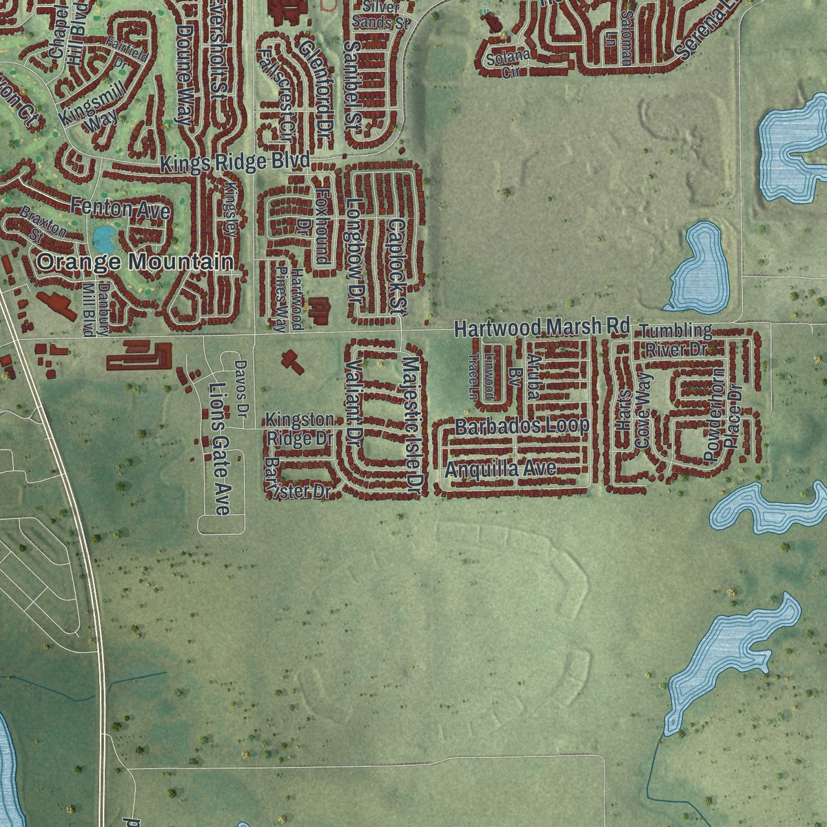 Close-up 2 of the Clermont, Florida map artwork