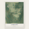 Cobbtown, Florida map print, the full design