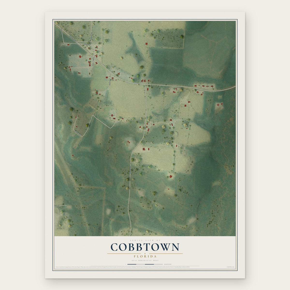 Cobbtown, Florida map print, the full design