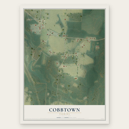 Cobbtown, Florida map print, the full design