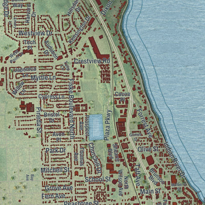 Close-up 1 of the Cocoa, Florida map artwork