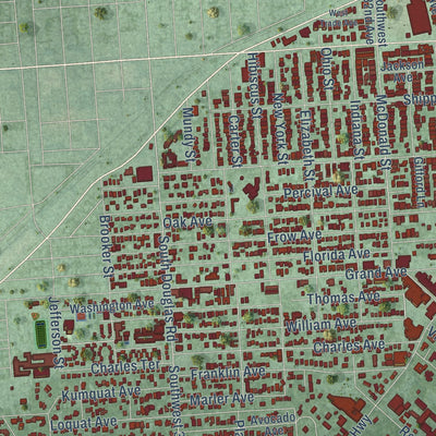 Close-up of the map of Coconut Grove, Florida print showing street and building detail
