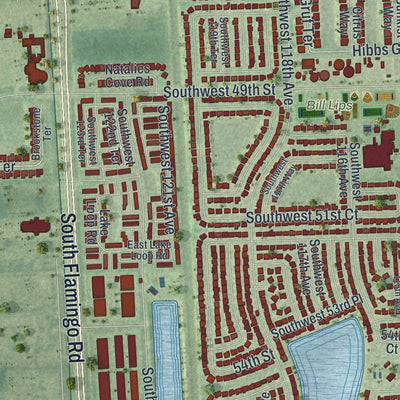 Close-up 2 of the Cooper City, Florida map artwork