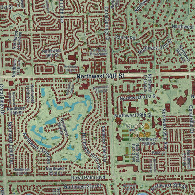 Close-up 1 of the Coral Springs, Florida map artwork