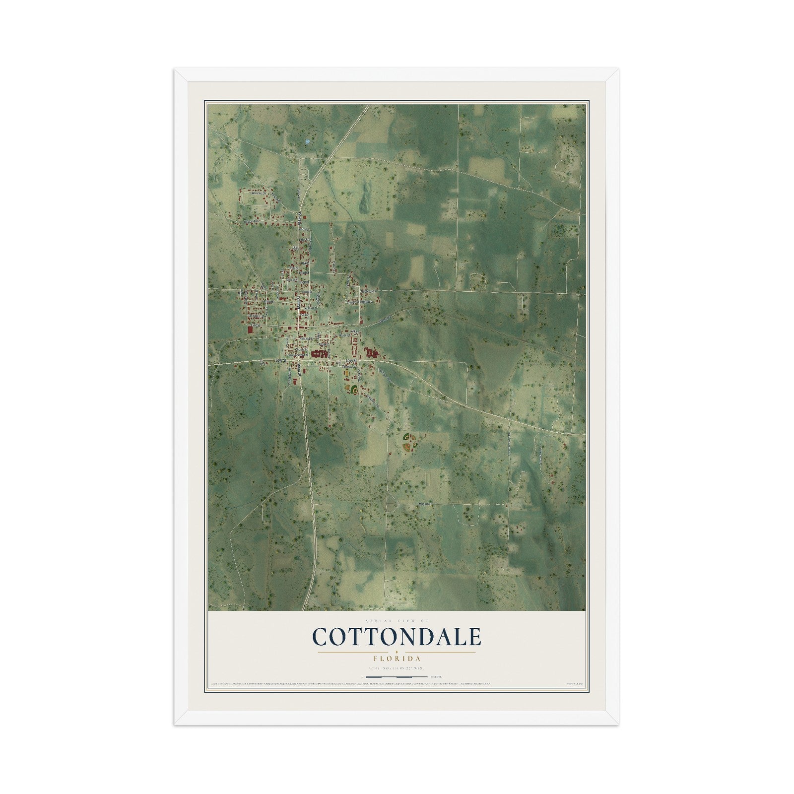 Cottondale, Florida map print, 12" x 18" W/ White Ayous Wood Frame mockup