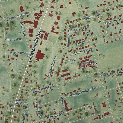 Close-up of the map of Crawfordville, Florida print showing street and building detail