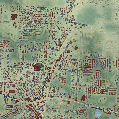 Close-up 1 of the Crestview, Florida map artwork
