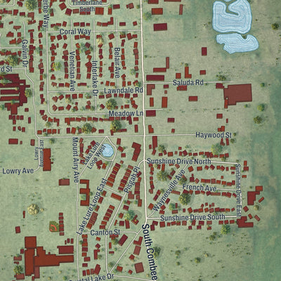 Close-up of the map of Crystal Lake, Florida print showing street and building detail