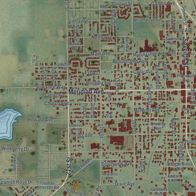 Close-up 1 of the Dade City, Florida map artwork