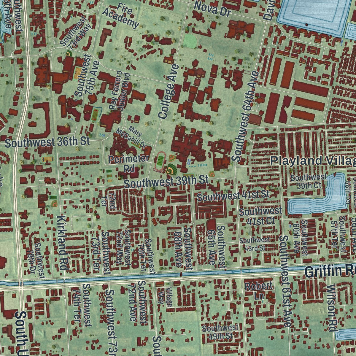 Close-up 1 of the Davie, Florida map artwork