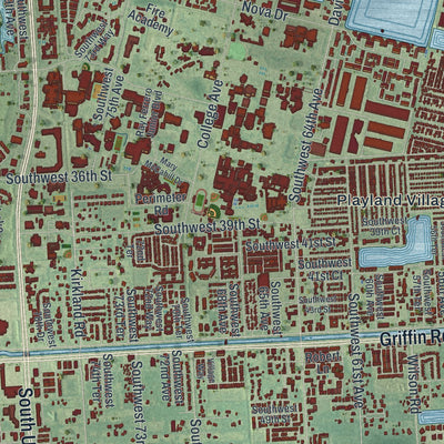 Close-up 1 of the Davie, Florida map artwork