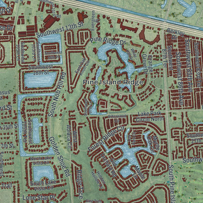 Close-up 2 of the Davie, Florida map artwork