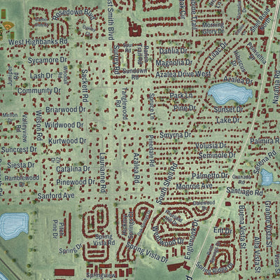 Close-up 1 of the DeBary, Florida map artwork