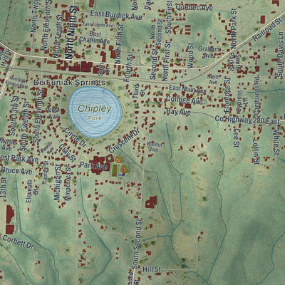 Close-up 1 of the DeFuniak Springs, Florida map artwork