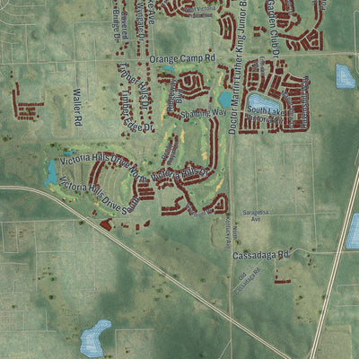 Close-up 2 of the DeLand, Florida map artwork