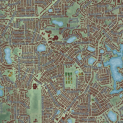 Close-up 1 of the Deltona, Florida map artwork