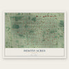 Desoto Acres, Florida map print, the full design