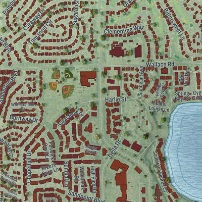 Close-up of the map of Doctor Phillips, Florida print showing street and building detail
