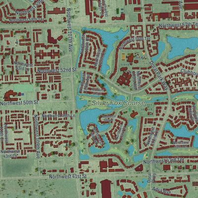 Close-up 1 of the Doral, Florida map artwork