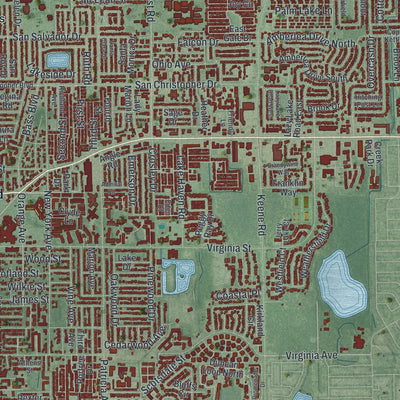 Close-up 1 of the Dunedin, Florida map artwork