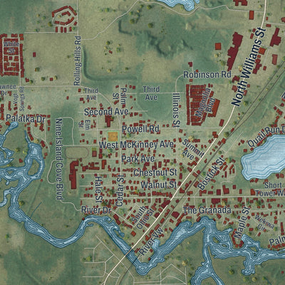 Close-up 1 of the Dunnellon, Florida map artwork
