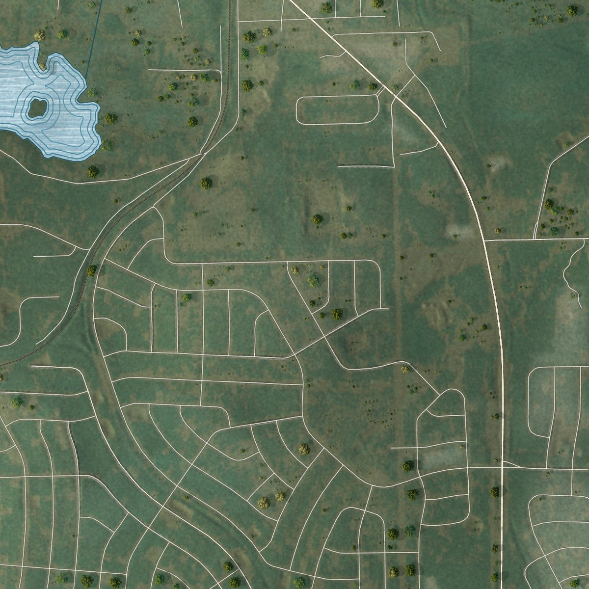 Close-up 2 of the Dunnellon, Florida map artwork