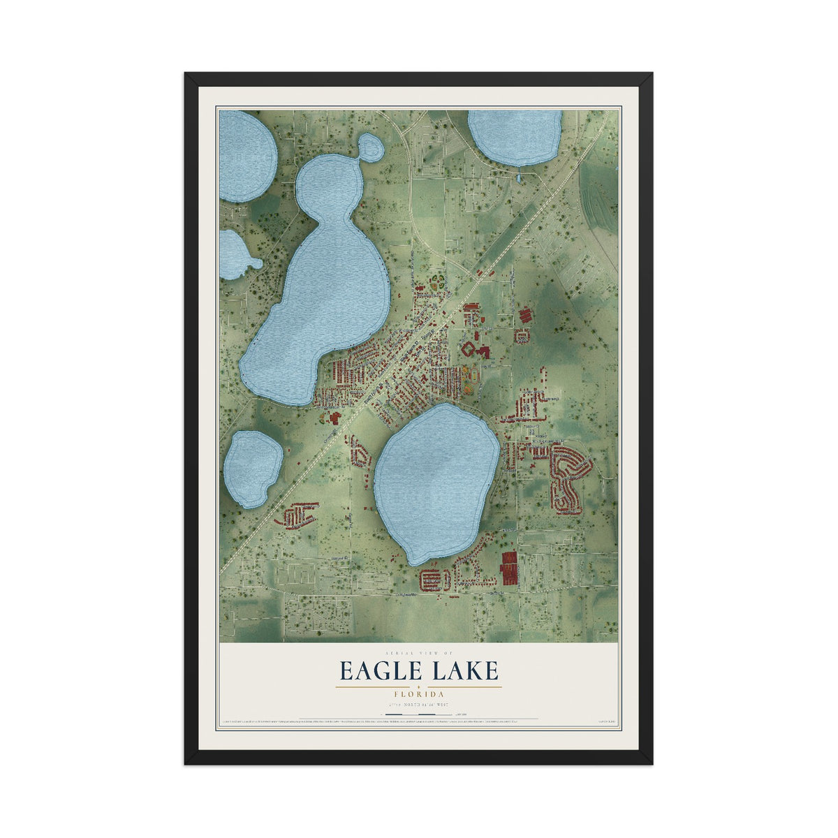 Eagle Lake, Florida map print, 12" x 18" W/ Black Ayous Wood Frame mockup