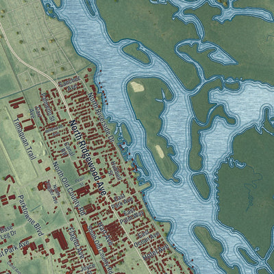 Close-up 2 of the Edgewater, Florida map artwork