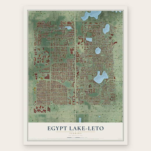 Egypt Lake-Leto, Florida map print, the full design
